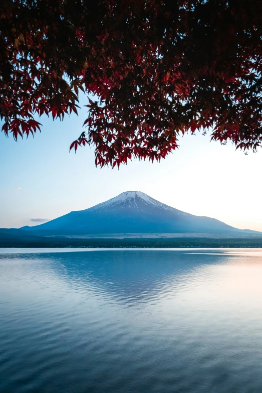 the view from a lake during sunset with red trees