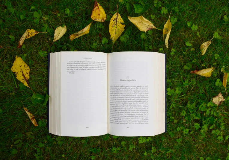 a book is lying on grass surrounded by fallen leaves