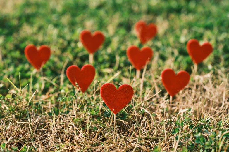a field of grass with several hearts on top