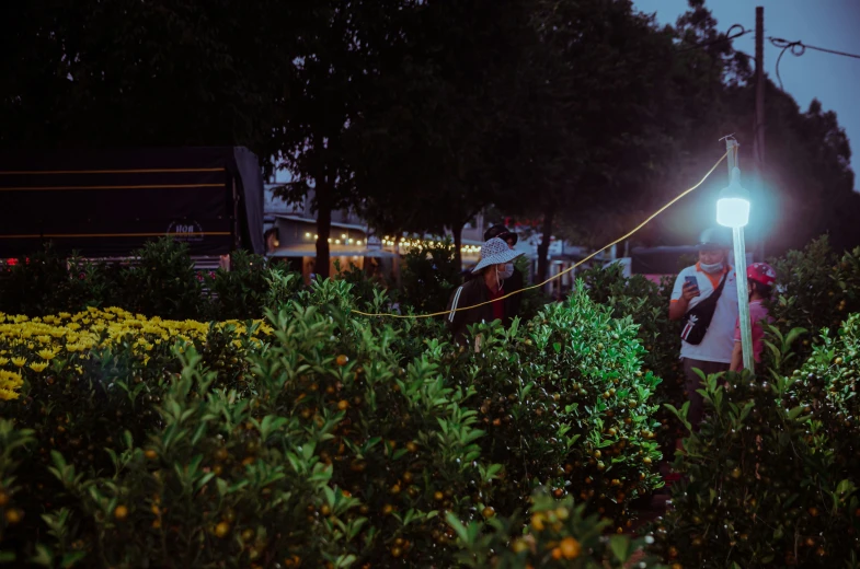 people walking on the sidewalk at night in the garden