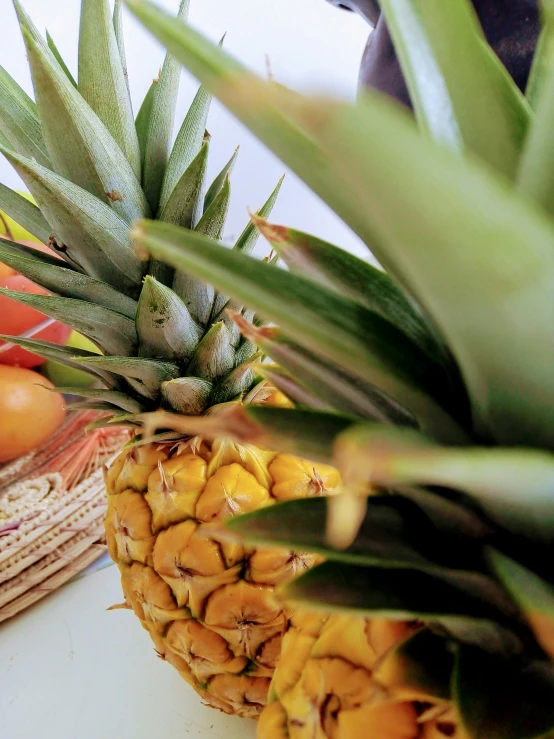 a pineapple and other fruit are sitting on the counter