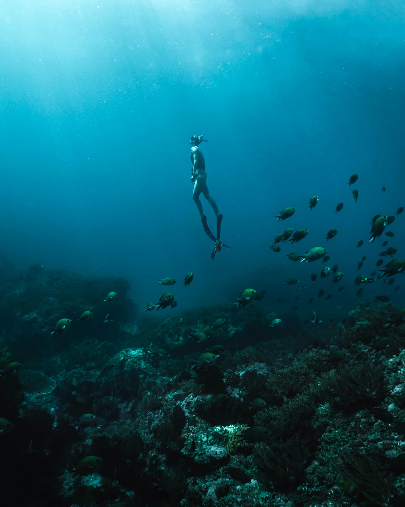 a man who is diving under the water