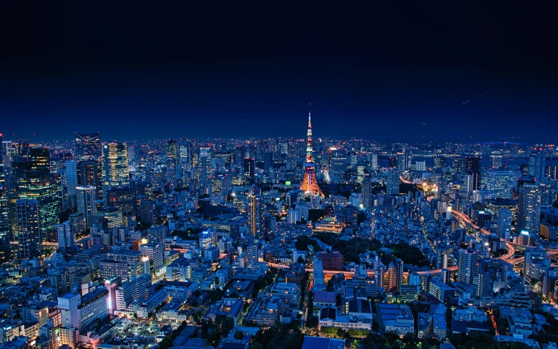 the skyline of a city illuminated at night