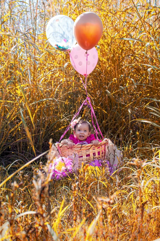 a baby sitting in a basket floating between balloons
