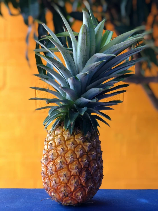 a pineapple sitting on top of a blue counter