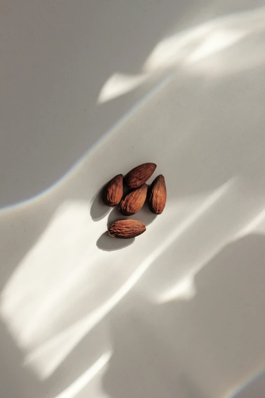 three nuts laying on top of a white surface