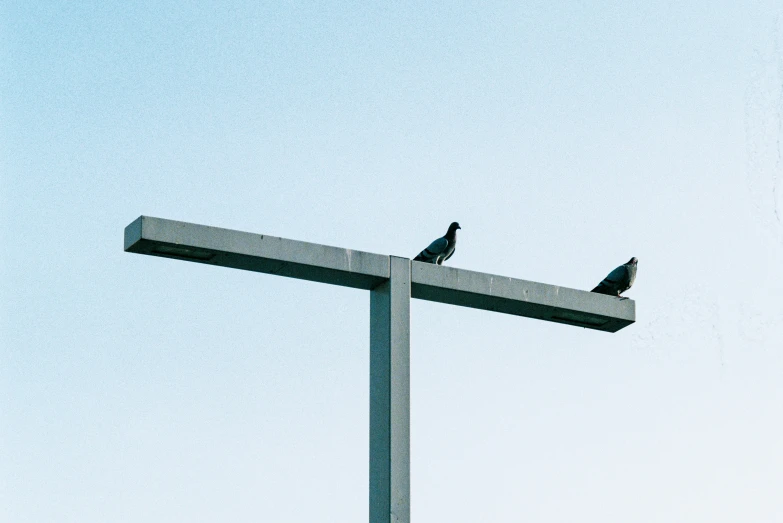 two birds are perched on top of an empty sign post