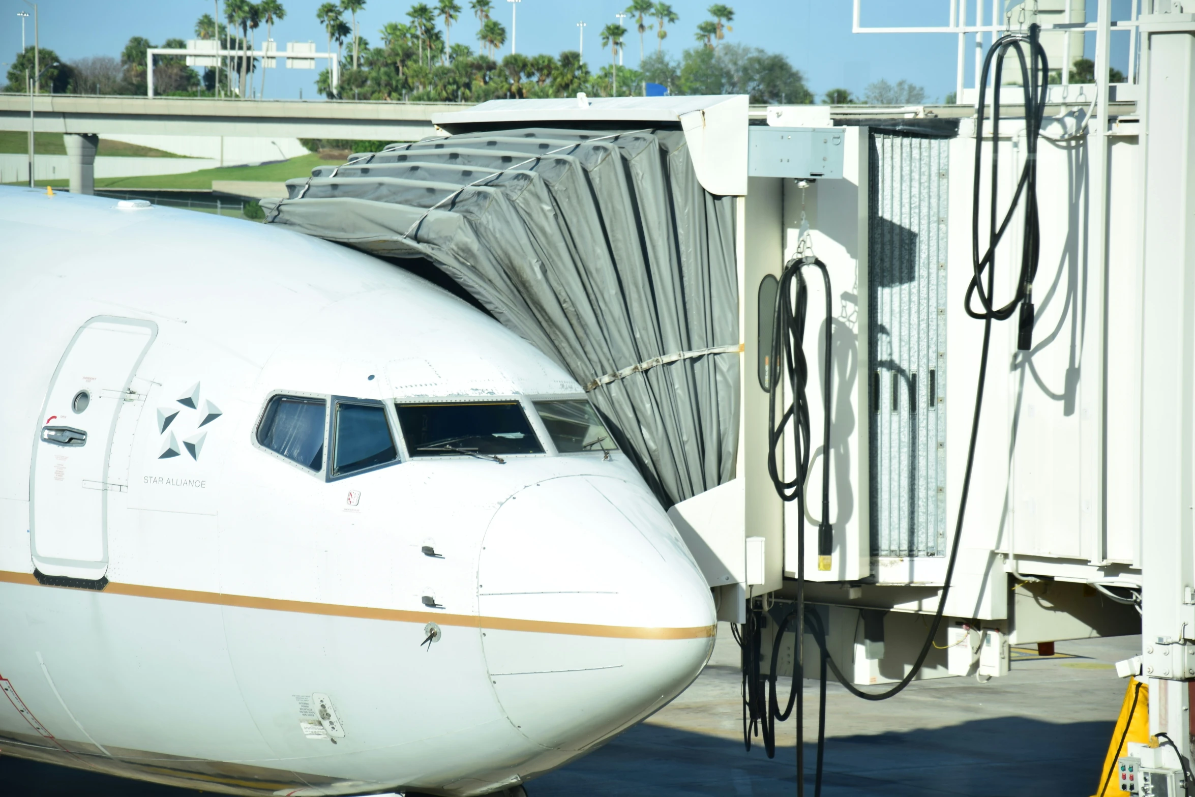 an air plane is parked at a airport