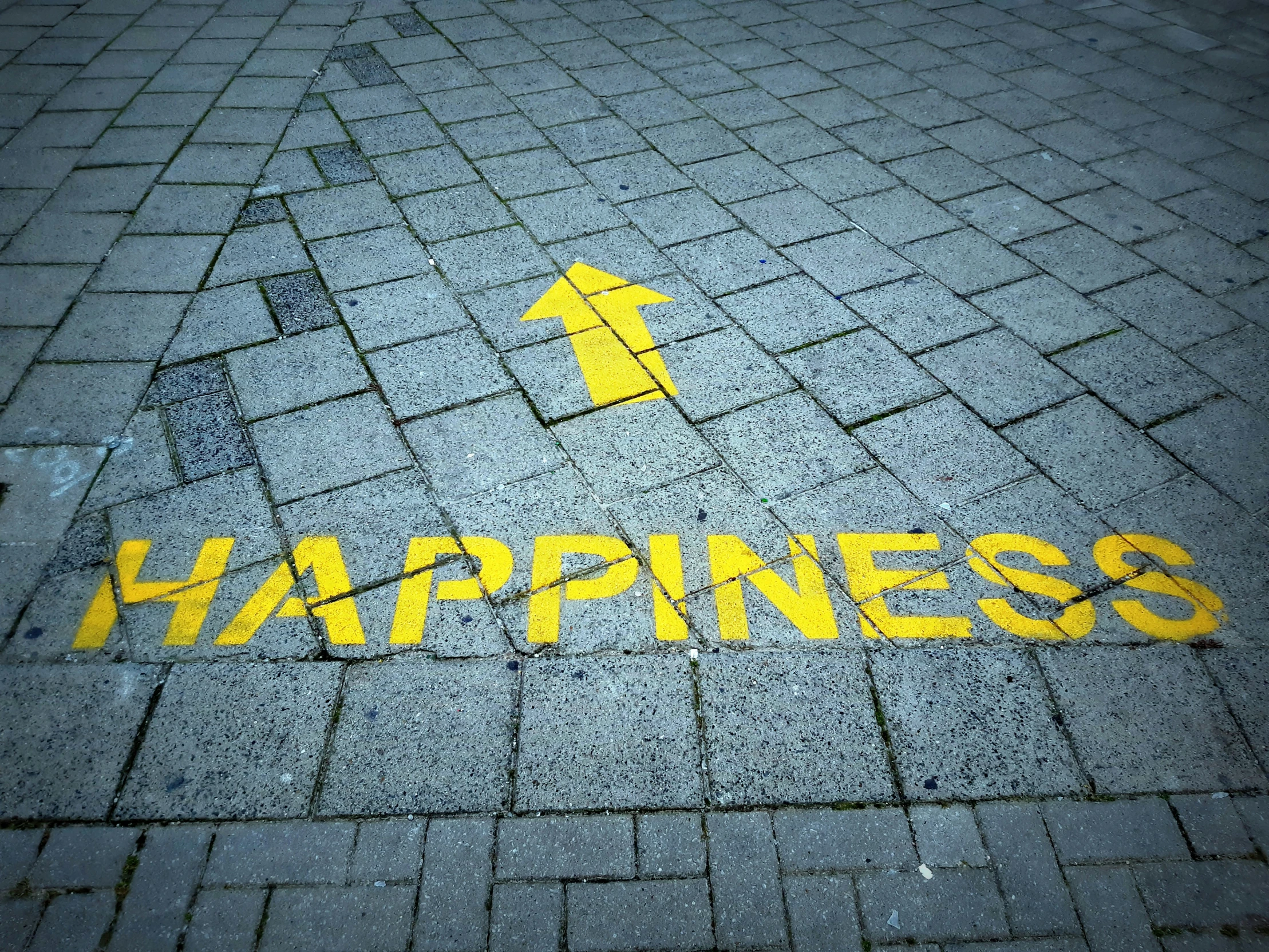 a street sign with the words happiness painted on it