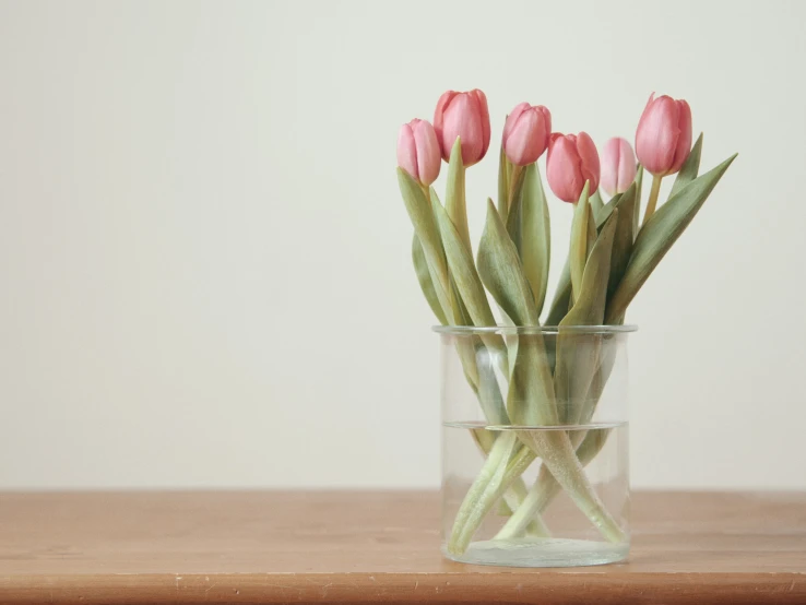 pink tulips are arranged in a clear vase