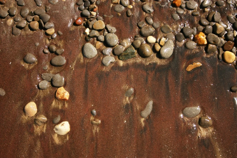 some rocks and water in a field with rocks