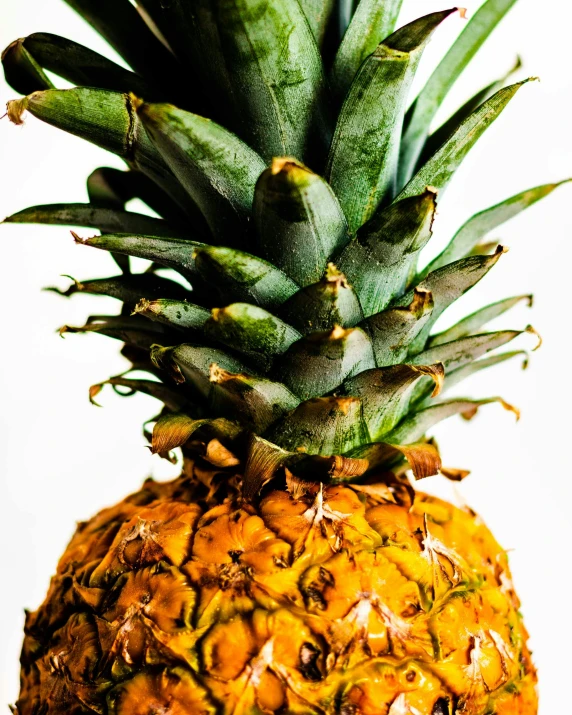 an image of a pineapple that is in the fruit bowl