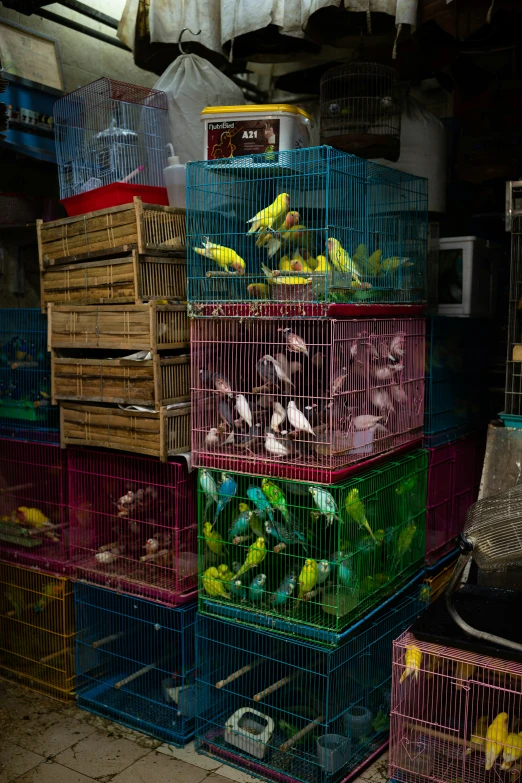 many cages stacked on top of each other