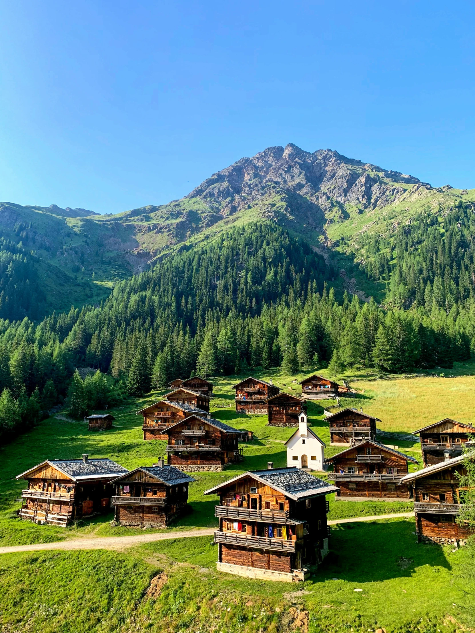 wooden houses on a mountain slope in the alpine region