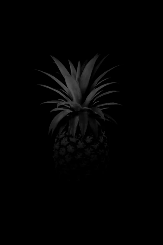 a black and white po of a pineapple