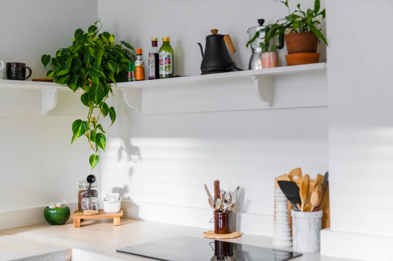 a kitchen with various types of items in a shelf