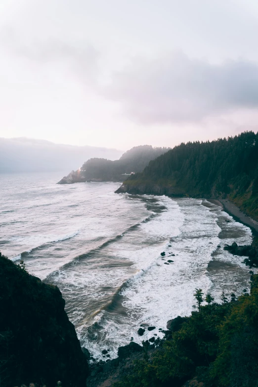 a beach and shoreline with trees on the side