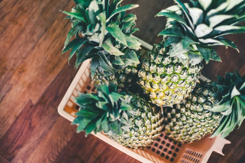 three fresh pineapples sitting in a woven basket