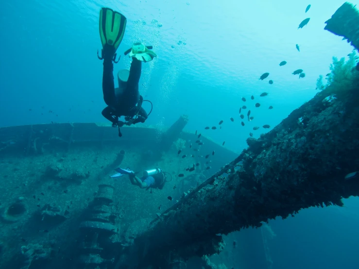 a man in a scuba suit dives next to a wreck