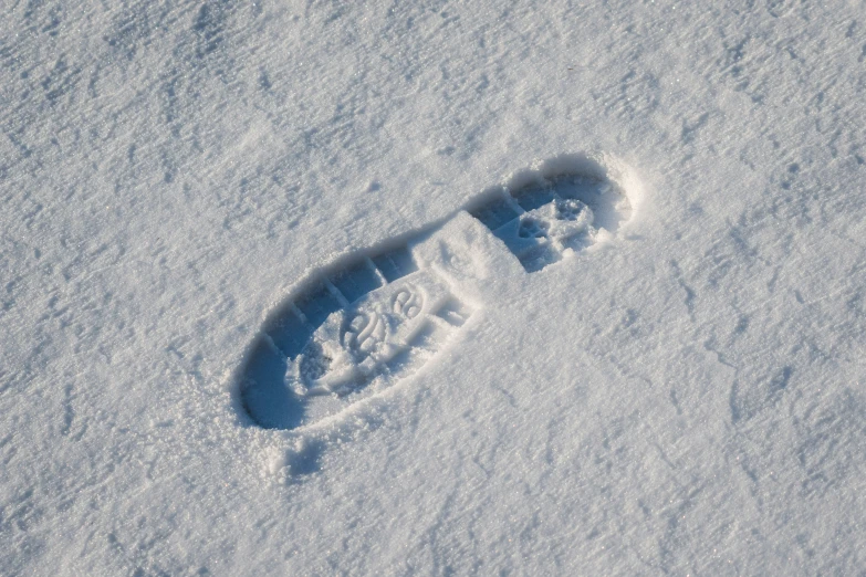 a snow covered area with a bird footprints