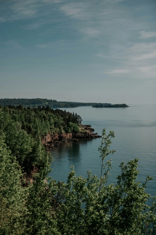 a body of water surrounded by lots of trees