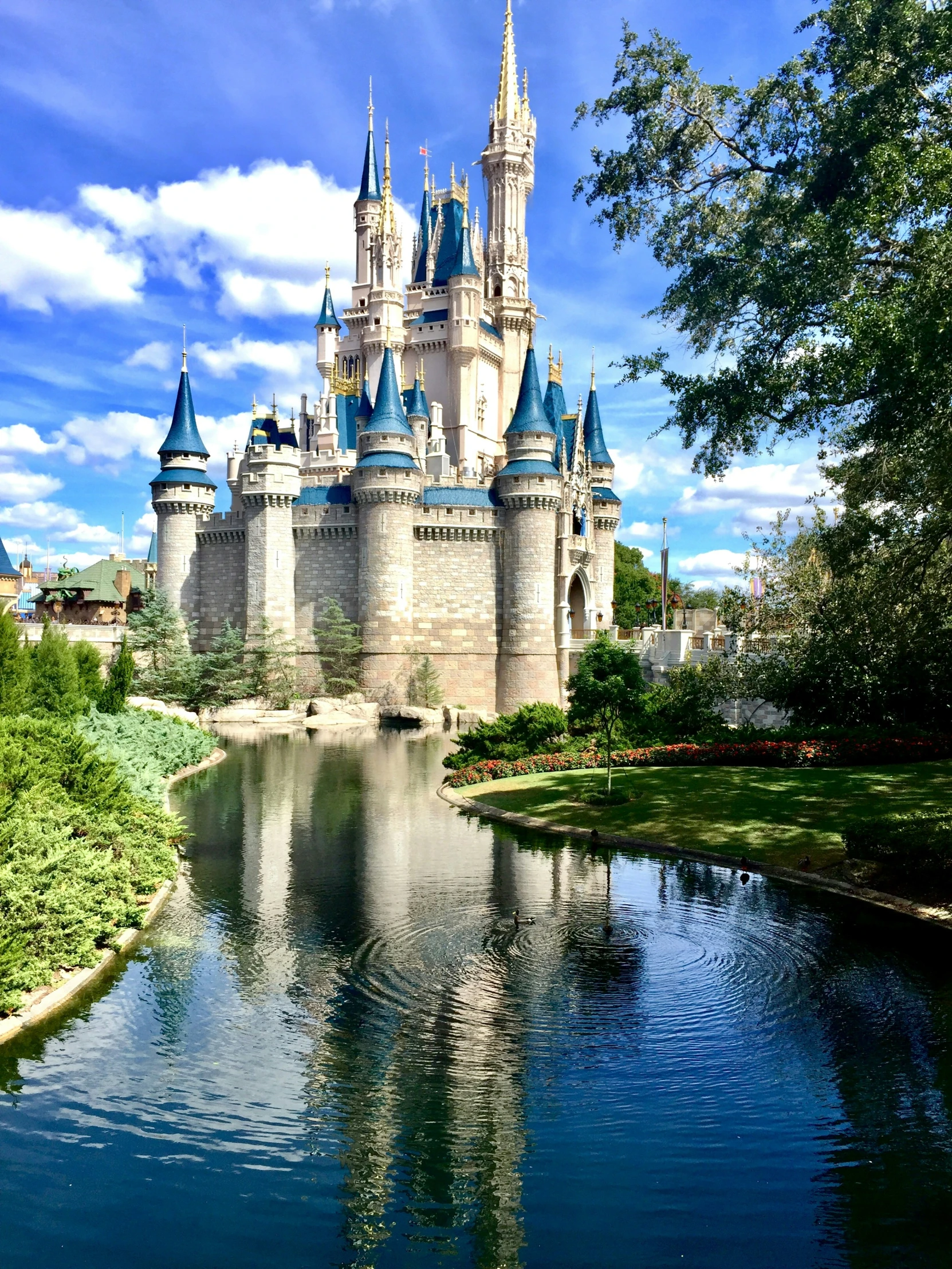 the castle is on the water with blue roof tops