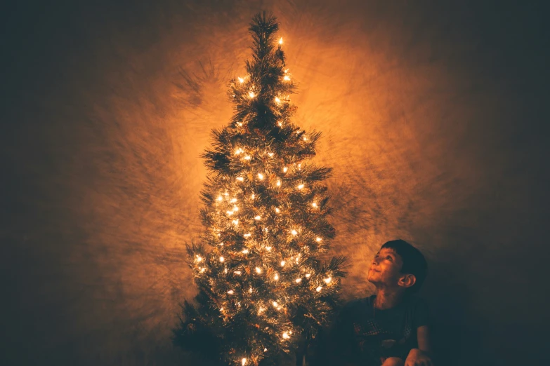 the man is staring at the large lighted christmas tree