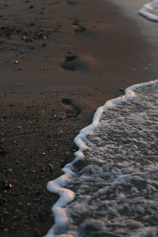 the sandy beach and footprints in the water