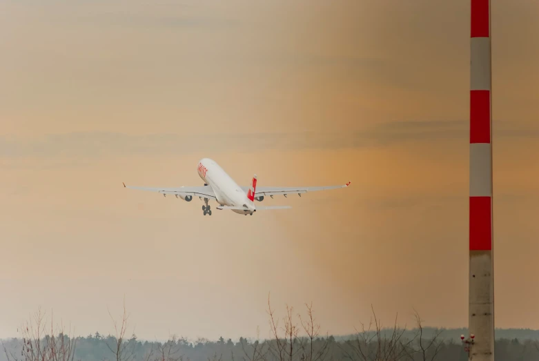 a big jumbo jet that is flying by some trees