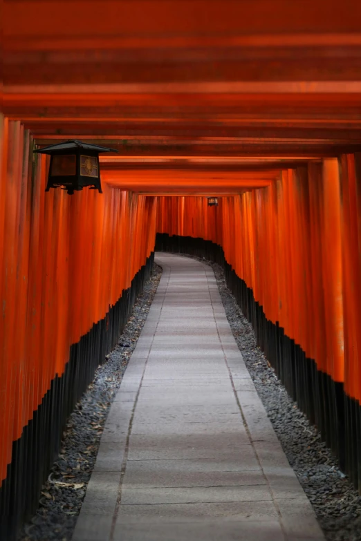 an orange walkway that stretches across some rocks