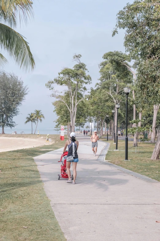 two people walking down a paved sidewalk near trees