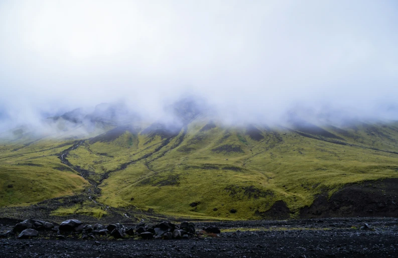 a grassy hill covered in thick clouds and grass