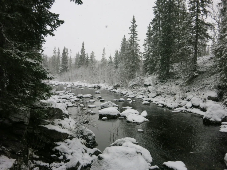 there is a river in the middle of the snow