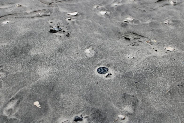 footprints are seen in the sand along side the water