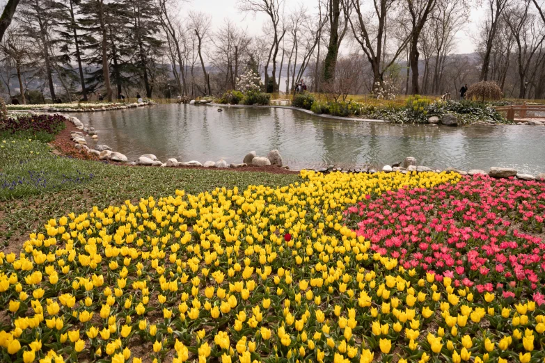 different color flower bed in park by river