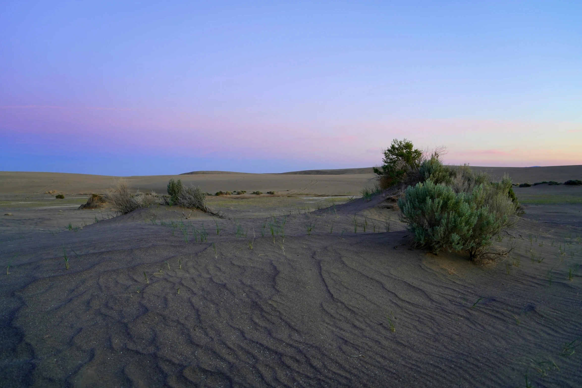 the desert has been completely deserted at twilight