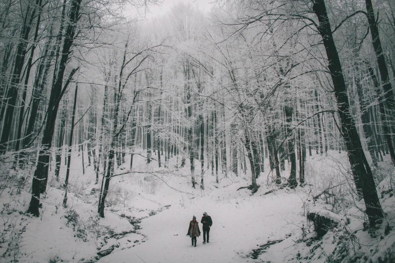 two people walk down the path of a snowy forest