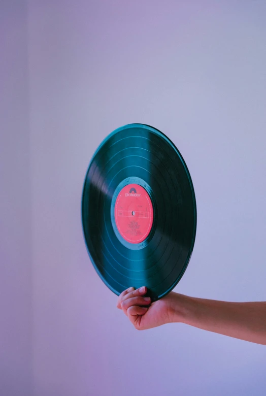 a person holding up a vinyl record in the air