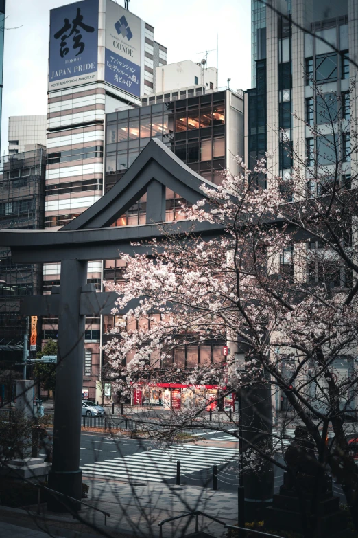 an oriental looking park with cherry blossom trees in the foreground