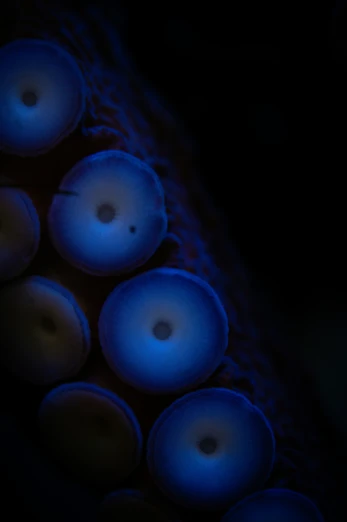 blue plastic balls illuminated in the dark