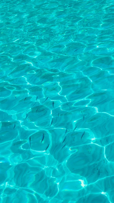 a very blue pool with lots of water and fish