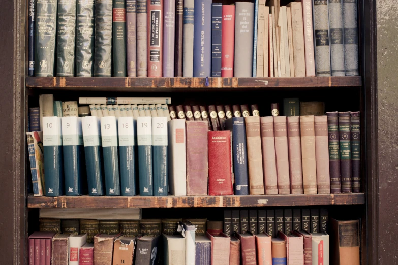 a bookshelf full of old, dusty and empty books