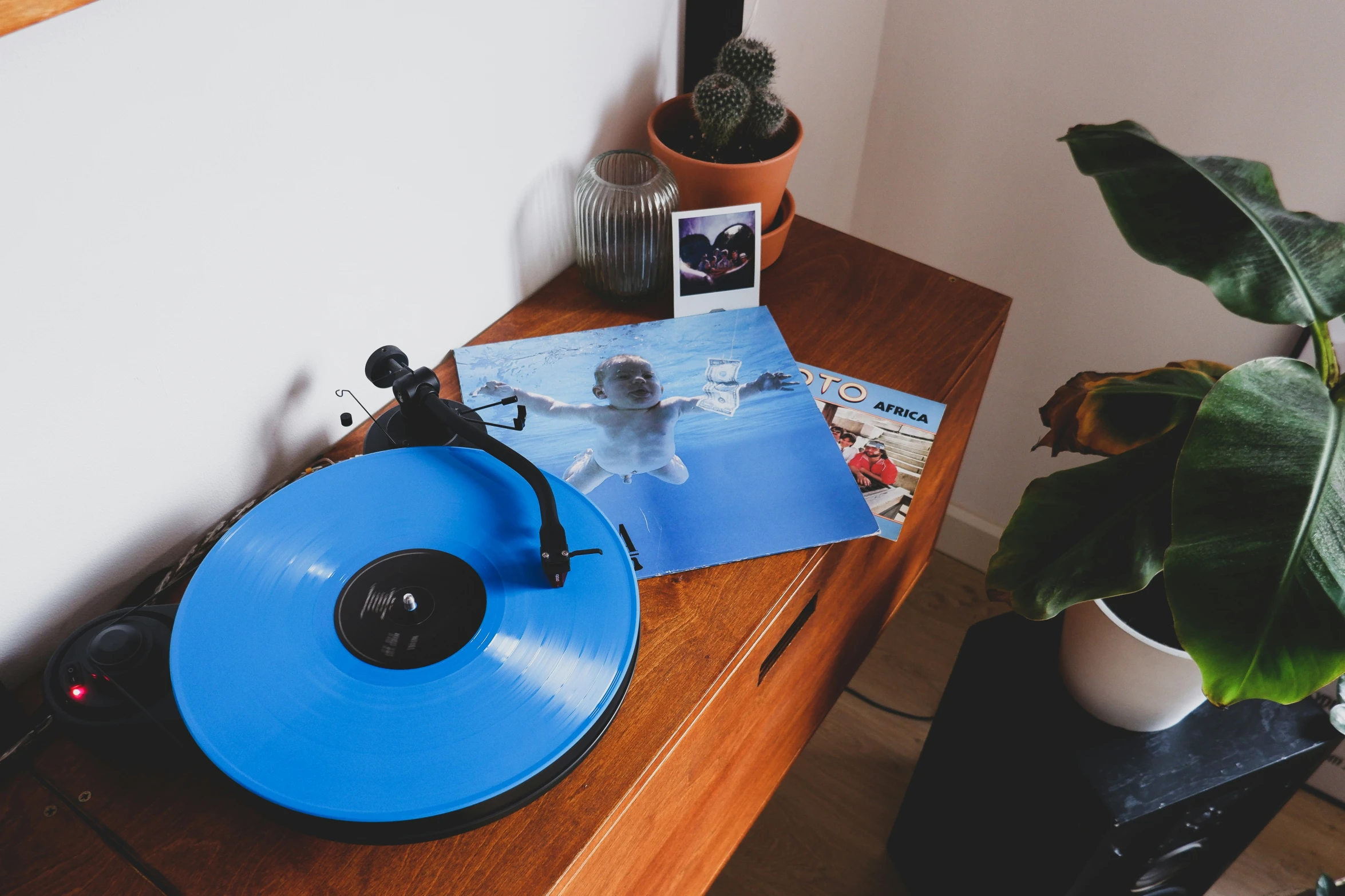 an old blue record player on a table next to plants