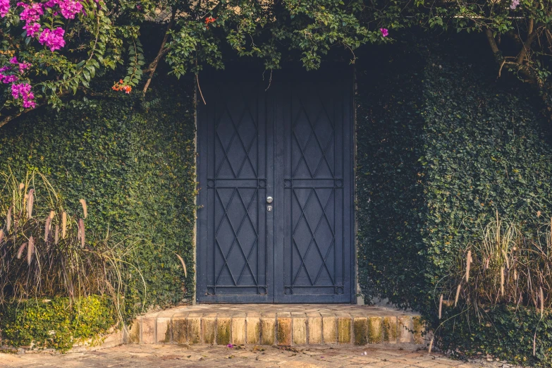 a door is surrounded by a hedge that has pink flowers growing out of it