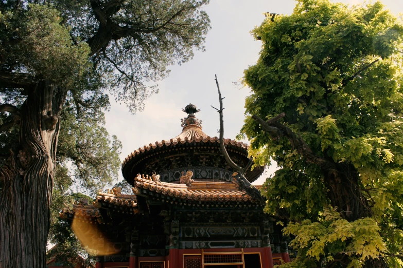 the roof of the temple is made out of ceramic tiles