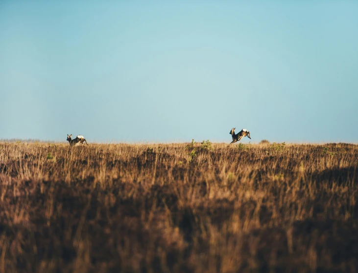 the two men are riding their horses on the plain