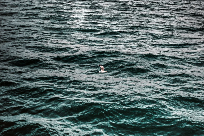 there is an image of a person in the ocean