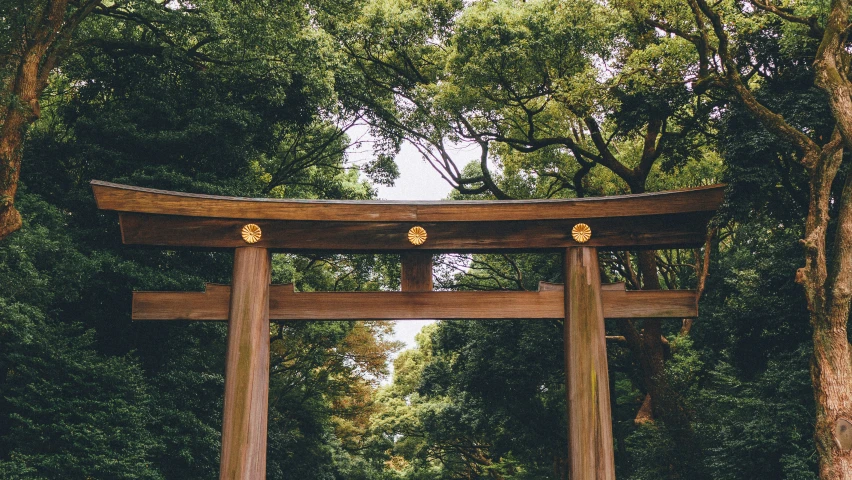 a couple of wooden gates standing on a forest road