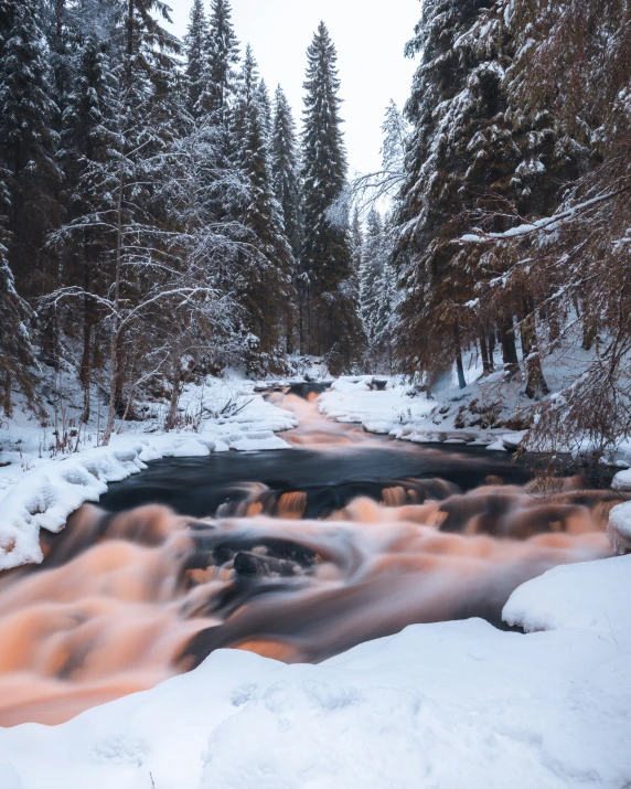 a river in the middle of snow surrounded by pine trees