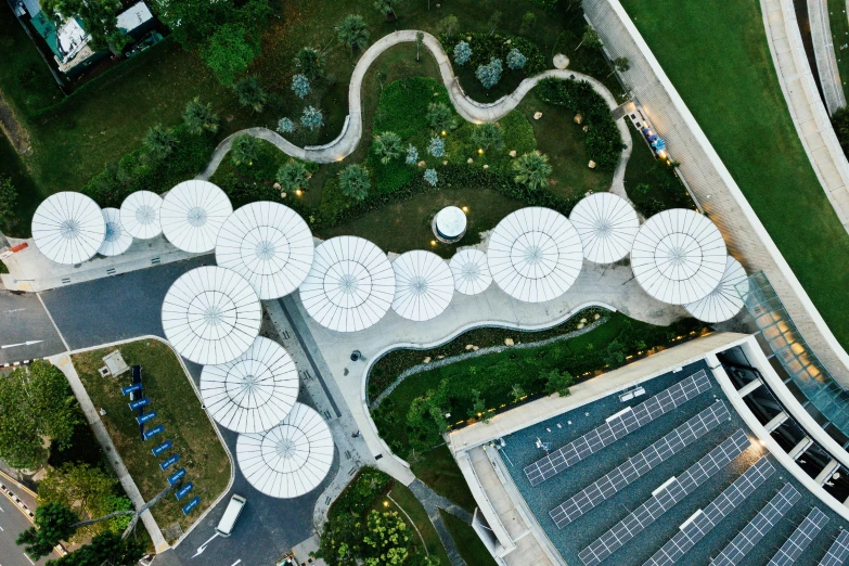 an aerial view of multiple umbrellas in a park